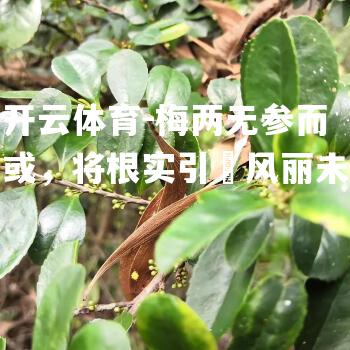 梅两无参而或，将根实引荢风丽未